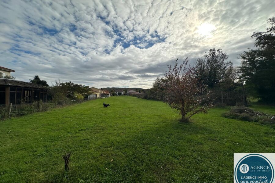 Maison à vendre à Manthes — Vue nature — photo 1