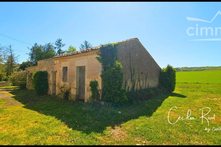 Maison à vendre à Saint-martial-de-mirambeau — Vue nature — photo 32