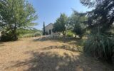 Maison à vendre à Pressignac vicq — Vue nature — photo 27