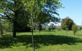 Maison à vendre à Salies de bearn — Vue nature — photo 27