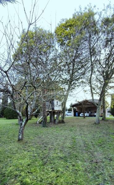 Maison à vendre à Launaguet — Vue nature — photo 28