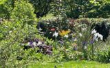 Maison à vendre à Salies de bearn — Vue nature — photo 28