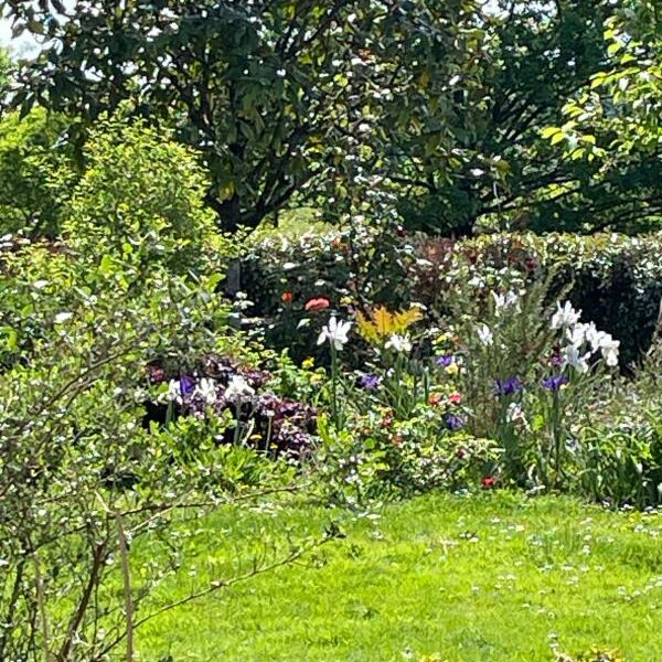 Maison à vendre à Salies de bearn — Vue nature — photo 28