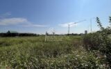 Terrain à vendre à Curtatone — Vue dégagée — photo 5