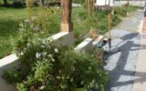 Maison à vendre à Valdallière — Vue nature — photo 5