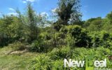 Maison à vendre à Arnac pompadour — Vue nature — photo 29