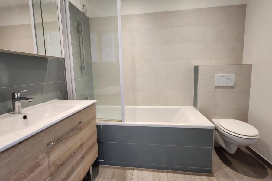 Appartement à vendre à Villeurbanne — Vue sur la ville — photo 4