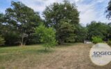 Maison à vendre à Roquefort — Vue nature — photo 1