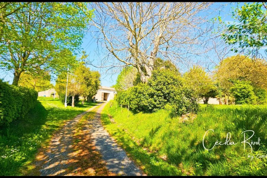 Maison à vendre à Saint-martial-de-mirambeau — Vue nature — photo 30