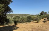 Maison à vendre à Istres — Vue lac — photo 29