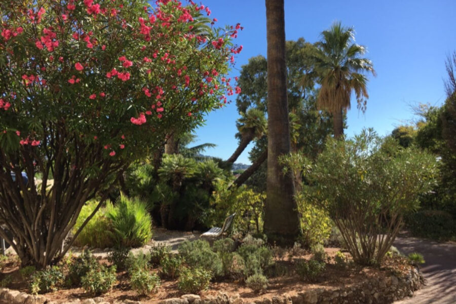 Appartement à vendre à Cannes — Vue mer — photo 7