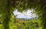 Maison à vendre à Taradeau — Vue nature — photo 1