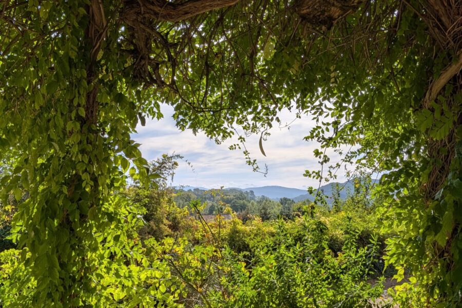 Maison à vendre à Taradeau — Vue nature — photo 1
