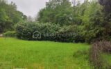 Terrain à vendre à Saint arnoult en yvelines — Vue dégagée — photo 3