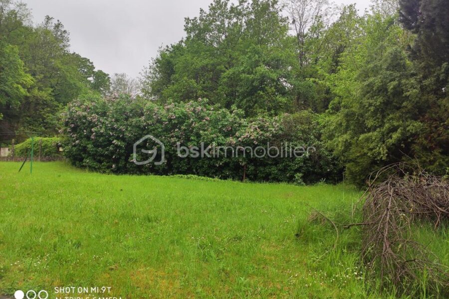 Terrain à vendre à Saint arnoult en yvelines — Vue dégagée — photo 3
