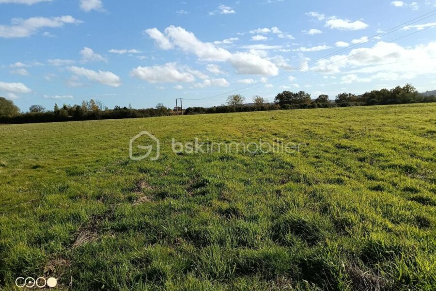 Terrain à vendre à Aire sur l adour — Vue nature — photo 1