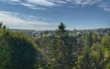 Appartement à vendre à Marly le roi — Vue nature — photo 1
