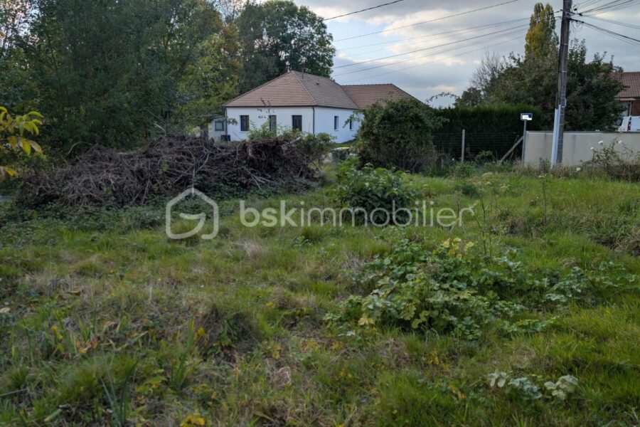 Terrain à vendre à Rebais — Vue nature — photo 3