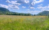 Terrain à vendre à Ornans — Vue nature — photo 1