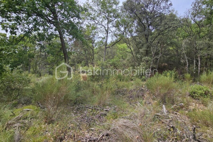 Terrain à vendre à Oraison — Vue dégagée — photo 4