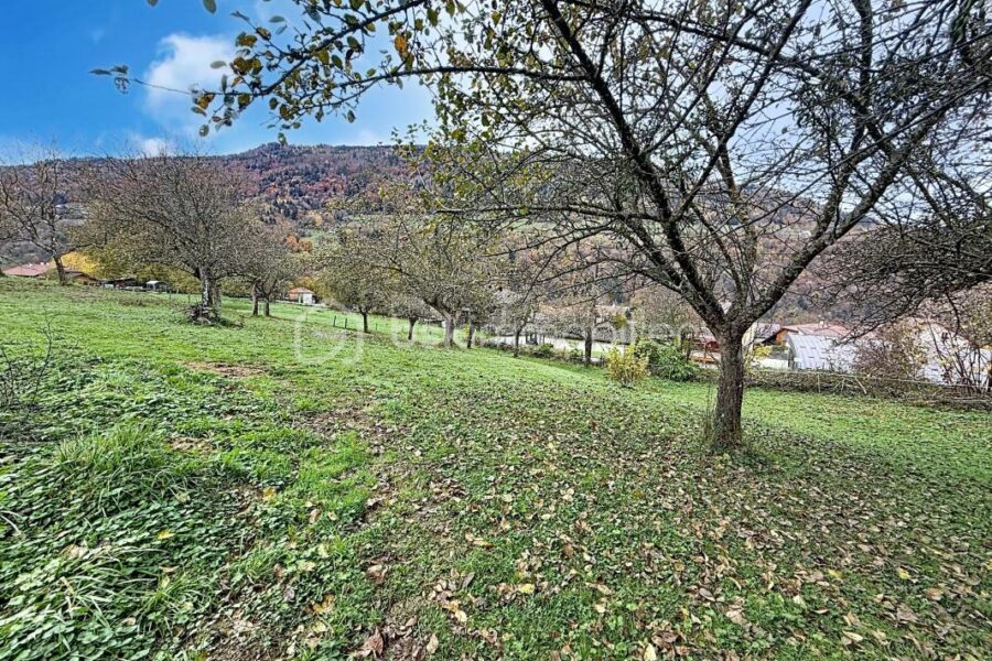 Terrain à vendre à La chapelle du bard — Vue lac — photo 4