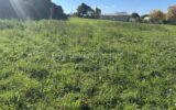 Terrain à vendre à Cercoux — Vue dégagée — photo 3