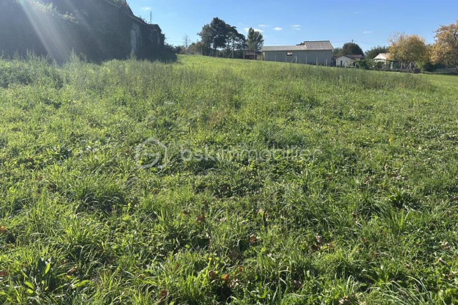 Terrain à vendre à Cercoux — Vue dégagée — photo 3