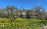 Maison à vendre à Uzes — Vue nature — photo 3