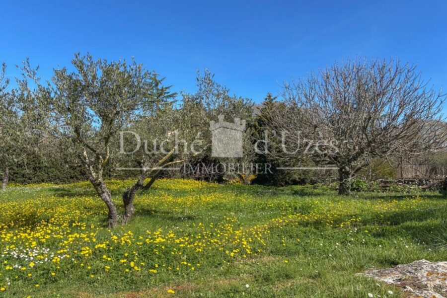 Maison à vendre à Uzes — Vue nature — photo 3