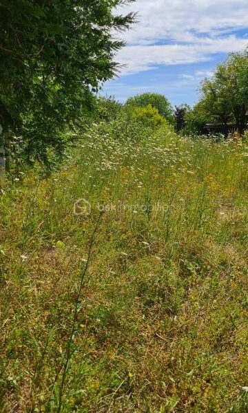 Terrain à vendre à Torfou — Vue nature — photo 3