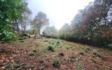 Terrain à vendre à Pin balma — Vue dégagée — photo 3