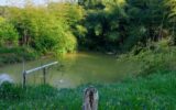 Maison à vendre à Maurs — Vue nature — photo 3