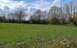 Maison à vendre à Noyelles sur sambre — Vue nature — photo 1