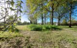 Maison à vendre à Landiras — Vue nature — photo 1