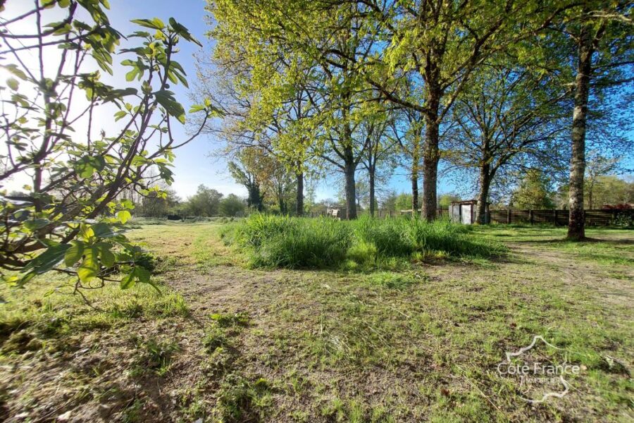Maison à vendre à Landiras — Vue nature — photo 1