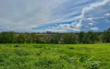 Terrain à vendre à Guillon — Vue nature — photo 1