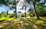 Maison à vendre à Tourbes — Vue nature — photo 3
