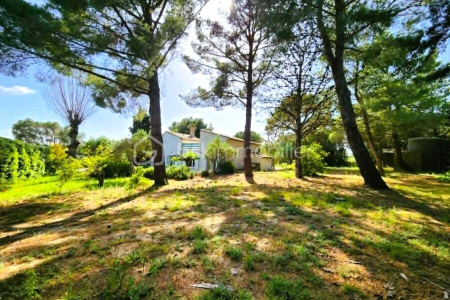 Maison à vendre à Tourbes — Vue nature — photo 3