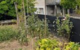 Terrain à vendre à Lavardac — Vue dégagée — photo 3