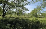 Terrain à vendre à Le mans — Vue dégagée — photo 3