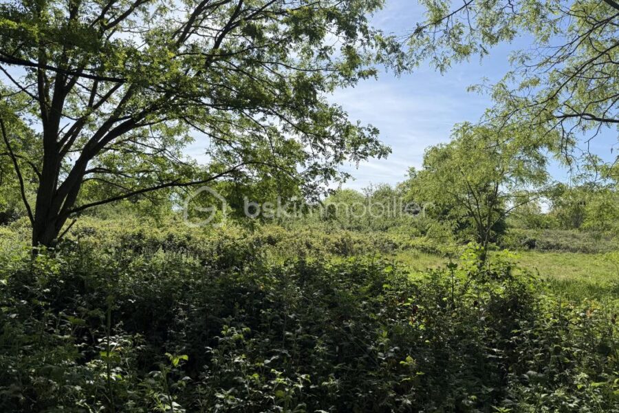 Terrain à vendre à Le mans — Vue dégagée — photo 3