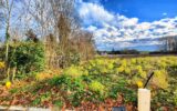 Terrain à vendre à Houdan — Vue nature — photo 4