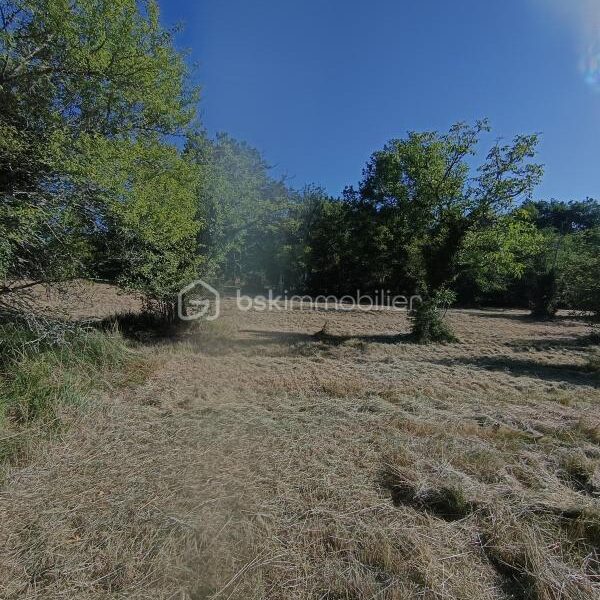 Terrain à vendre à Tourtoirac — Vue nature — photo 3