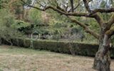 Maison à vendre à Saint genis l argentiere — Vue nature — photo 4