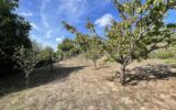 Terrain à vendre à Mareuil sur lay dissais — Vue nature — photo 3