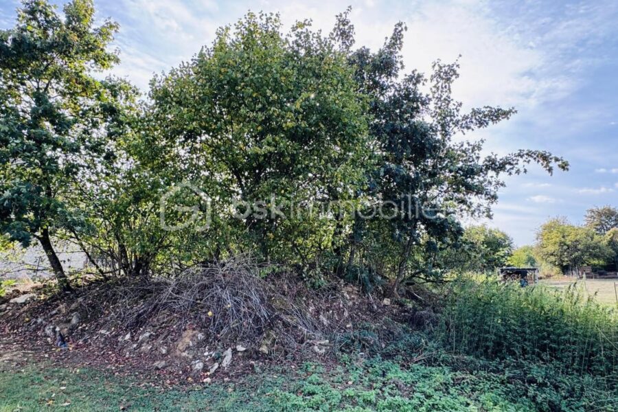 Terrain à vendre à Vendresse — Vue dégagée — photo 3