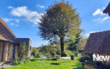 Maison à vendre à Arnac pompadour — Vue nature — photo 4