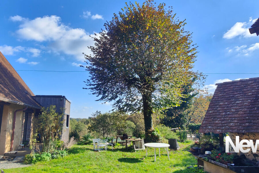 Maison à vendre à Arnac pompadour — Vue nature — photo 4