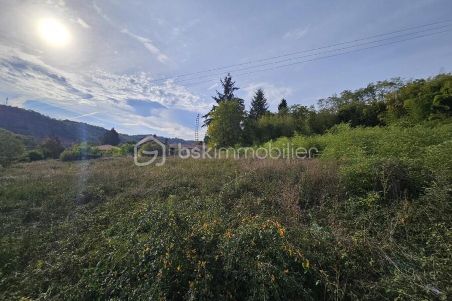 Terrain à vendre à Villerest — Vue nature — photo 3
