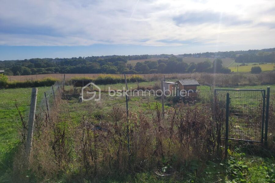 Maison à vendre à Pleugriffet — Vue nature — photo 1